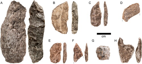 Figure 22. Retouched artefacts. (A) Large silcrete backed flake (elouera) (P4 SU2 XU8). (B) Silcrete crescentic geometric microlith (backed flake) (P3 SU5 XU60). (C) Silcrete backed flake (P4 SU4 XU34). (D) Silcrete backed flake (P4 SU6A XU51). (E) Silcrete backed flake (O4 SU4 XU32). (F) Silcrete backed flake (P5 SU4 XU33). (G) Crystal quartz thumbnail scraper (O5 SU6 XU55). (H) Quartz notched tool (P5 SU3 XU30) (photos by Steve Morton).