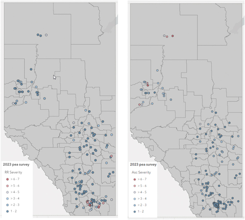 Fig. 1 Disease severity at each of the 151 survey locations in Alberta’s 2023 pea disease survey for root rot (RR, left panel) and 150 fields for mycosphaerella blight (Asc, right panel).