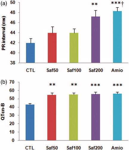 Figure 2. Basal PR interval and QT interval as Bazett’s formula normalized (QTcn-B) in each animal groups. Saffron with the dose of 200 mg/kg and amiodarone significantly increased PR interval (a). All doses of saffron and amiodarone prolonged the QT interval but the effect of high dose of saffron (200 mg/kg) was more prominent and was similar to amiodarone. **p < 0.01, ***p < 0.01 compared to CTL group. †p < 0.05 compared to Saf50 and Saf100 groups. CTL: control group, Saf: saffron, Amio: amiodarone.