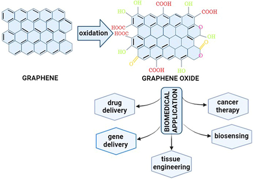 Figure 2 Graphene Oxide as Nanomaterial’s for Biomedicine Application.