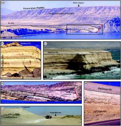 Figure 3. (a) Aerial view over the north-facing Caleta Herradura de Mejillones section where the wedge-shaped, Miocene to Pleistocene clastic infill of the Caleta Herradura half-graben is spectacularly exposed. The basin fill is composed of three major unconformity-bounded units: the Miocene CH Afm, the Pliocene LP Afm and the Pleistocene MJ Afm. The basin is bounded to the west by the listric, steeply dipping Caleta Herradura Fault. In the background, flat surfaces on the crestal and flanking areas of the Morro Jorgino footwall block represent marine terraces of Pliocene and Pleistocene age, respectively. The dotted lines indicate unconformity surfaces. The black box is enlarged in d); (b-c) Exposure of Plio-Pleistocene shallow-marine strata at La Portada, southern end of Pampa del Aeropuerto. Note the highly irregular, non-conformable contact between the Jurassic La Negra Fm and the Pliocene LP Afm in the lower half of (b) and the sharp, erosional contact (dotted black line) of the MJ Afm on top of LP Afm; (d) enlargement of (a) (black box) showing the angular unconformity that separates the CH Afm below from the Pliocene LP Afm above and the strongly asymmetric syncline, possibly induced by normal drag against the fault, in the immediate hangingwall of the Caleta Herradura Fault; (e) road cut photo of the LP Afm and the overlying MJ Afm at Mejillones; (f) photograph showing the contact between the dark coloured pre-Miocene bedrock and the sediments of the LP Afm on the upthrown Morro Mejillones block, about 3 km northwest of Cuenca del Tiburon. The contact (dotted line) is characterised by low mounds that suggest a rugged topography of the substrate.