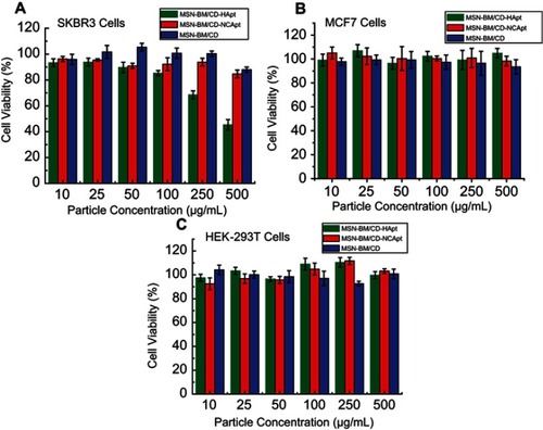 Figure 7 Cell viability of SKBR3 (A), MCF7 (B) and HEK-293T (C) cells incubated with unloaded MSN-BM/CD-HApt, MSN-BM/CD-NCApt or MSN-BM/CD. Cells were incubated with various concentrations of unloaded nanoparticles (10 to 500 μg/mL) for 4 h, then the media was replaced by fresh complete medium and incubated for another 20 h. Cell viability was measured using the Cell Counting Kit-8 (CCK-8). Data are mean ± SD (n = 5).Abbreviations: MSN, mesoporous silica nanoparticles; BM, benzimidazole; CD, β-cyclodextrin; HApt, aptamer; DOX, doxorubicin.