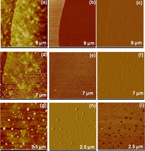 Figure 5. a Typical atomic force microscopy (AFM) image of the single-layer graphene before addition of tetracyanoethylene (TCNE), b and c are corresponding phase and amplitude error images. The AFM image of the single-layer graphene after addition of (doping) TCNE 10− 2 M concentration solution (d and g) and corresponding phase images (e and h), and amplitude error images f and i)
