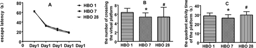 Figure 7 HBO group rats: (A) Escape latency: Compared with HBO1 group, ■P >0.05; Compared with HBO7, ▲P >0.05. (B) The number of platform crossing: Compared with HBO 1 group, *P>0.05; Compared with HBO7, #P>0.05. (C) Activity time in the fourth quadrant: Compared with HBO1 group, *P>0.05; Compared with HBO7, #P>0.05.