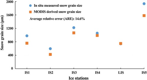 Figure 8. Comparison of MODIS-derived snow grain size and in situ measured surface snow grain size (at IS1 to IS5 and LIS) during the seventh Chinese Arctic expedition.