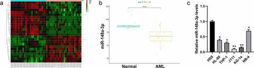 Figure 1. Screening the differential expression of miRNAs in AML. A: Differential analysis of miRNAs with red for up-regulated miRNAs and green for down-regulated miRNAs; B: Analysis of miR-148a-3p level in the GSE142700 data set; C: qRT-PCR was used to measure miR-148a-3p levels in human leukemia cell lines and bone marrow mesenchymal stem cells, and HS5 cells were considered as control. *P < 0.05, **P < 0.01