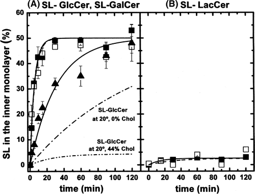Figure 4.  (A) Inward movement of SL-GlcCer (solid symbols) and SL-GalCer (open symbols) in egg-PC LUVs containing 0% (squares) or 44% (triangles) cholesterol at 37°C. For comparison, data from Figure 3A corresponding to the inward teransport of SL-GlcCer at 20°C were also replotted (dashed-dot lines). (B) Inward movement of SL-LacCer in POPC LUVs (ld phase, solid squares) and in (POPC/SM/Chol; 20/20/60 mol) LUVs (lo phase, open squares) at 37°C.