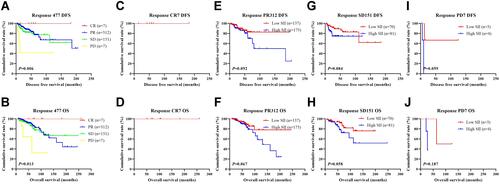 Figure 10 The impact of response to neoadjuvant chemotherapy in breast cancer patients who received NACT on DFS and OS. (A) Kaplan–Meier analysis of DFS for SII based on the response to neoadjuvant chemotherapy in breast cancer patients who received NACT. (B) Kaplan–Meier analysis of OS for SII based on the response to neoadjuvant chemotherapy in breast cancer patients who received NACT. (C) Kaplan–Meier analysis of DFS for SII based on CR response to neoadjuvant chemotherapy in breast cancer patients who received NACT. (D) Kaplan–Meier analysis of OS for SII based on CR response to neoadjuvant chemotherapy in breast cancer patients who received NACT. (E) Kaplan–Meier analysis of DFS for SII based on PR response to neoadjuvant chemotherapy in breast cancer patients who received NACT. (F) Kaplan–Meier analysis of OS for SII based on PR response to neoadjuvant chemotherapy in breast cancer patients who received NACT. (G) Kaplan–Meier analysis of DFS for SII based on SD response to neoadjuvant chemotherapy in breast cancer patients who received NACT. (H) Kaplan–Meier analysis of OS for SII based on SD response to neoadjuvant chemotherapy in breast cancer patients who received NACT. (I) Kaplan–Meier analysis of DFS for SII based on PD response to neoadjuvant chemotherapy in breast cancer patients who received NACT. (J) Kaplan–Meier analysis of OS for SII based on PD response to neoadjuvant chemotherapy in breast cancer patients who received NACT.