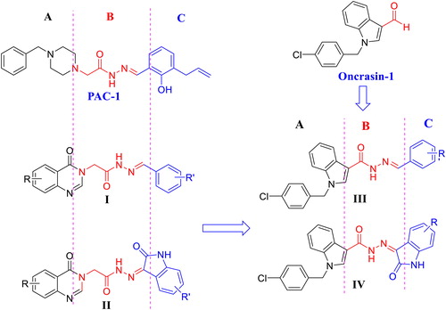 Figure 1. Structure of PAC-1, oncrasin-1, acetohydrazides I, II and rational design of novel (E)-N'-arylidene-1-(4-chlorobenzyl)-1H-indol-3-carbohydrazides III and (Z)-1-(4-chlorobenzyl)-N'-(2-oxoindolin-3-ylidene)-1H-indole-3-carbohydrazides IV.