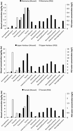 Figure 6. Comparison of mussel and PED uptake of PAHs. PAHs have been sorted (left to right) by decreasing hydrophilicity.