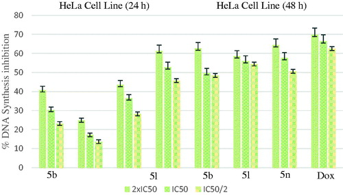 Figure 6. % DNA synthesis inhibition activities of compounds 5 b, 5 l, 5n and doxorubicin against HeLa cell line.