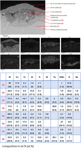 Figure 6. BSE image with point analysis and EDX element map of a corrosion feature on PWA 1483 after 500 hours of exposure at 700 °C in an air atmosphere with 300 ppm SO2. The deposit flux was 1.5 µg/cm2/h each of 80/20 (Na/K)2SO4 and Mo..