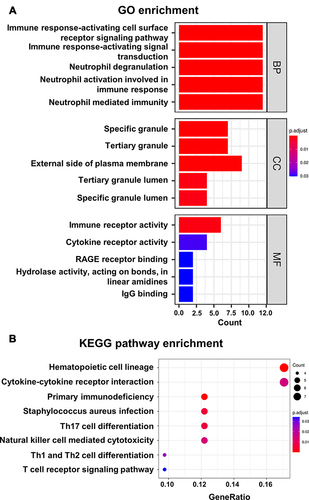 Figure 3 Functional enrichment analysis for DEIRGs. (A) Top 15 significantly enriched GO terms for biological process (BP), cellular component (CC), and molecular function (MF). The color scale from blue to red indicates the gradual increase of the level of enrichment. (B) KEGG pathway enrichment analyses of DEIRGs. The color scale from blue to red indicates the gradual increase of the level of enrichment. Each circle indicates a specific KEGG pathway terms and circle size represents the number of genes that have been enriched.