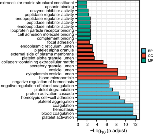 Figure 2 GO analysis of biological processes (BP), cellular component (CC) and molecular functions (MF).