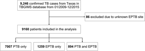 Fig. 1 Flowchart of the study population.TBGIMS Genotyping Information Management System, PTB pulmonary TB, EPTB extrapulmonary TB