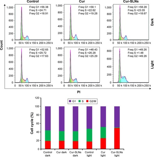 Figure 4 Cell cycle analysis of A549 cells treated with Cur and Cur-SLNs in the dark or with irradiation, and bar diagrammatic representation showing the percentage cell distribution in different phases of cell cycle.Abbreviations: Cur, curcumin; Cur-SLNs, curcumin-loaded solid lipid nanoparticles; Freq, Frequency; PI, propidium iodide.