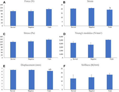 Figure 5 Bone mechanical strength indices of the rats investigated using the three-point-bending test, which derives force (A), strain (B), stress (C), Young’s modulus (D), displacement (E), stiffness (F).