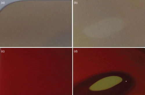 Figure 2. Images obtained before and after the e-beam exposure of the a-Si:H thin films deposited via PECVD and sputtering: (a) sputter-deposited a-Si:H thin film; (b) sputter-deposited silicon thin film after e-beam exposure; (c) PECVD a-Si:H thin film; and (d) PECVD silicon thin film after e-beam exposure.