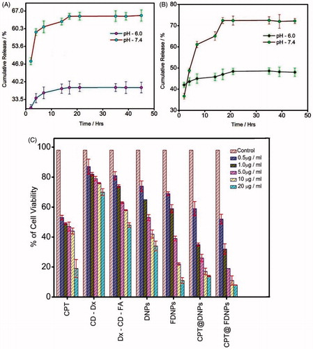 Figure 4. Release profile of CPT loaded on (A) DNPs and (B) FDNPs under the conditions of pH 7.4 and 6.0, respectively, at room temperature. (C) Cell viability of Hela cell evaluated by MTT assay, after 24-h treatment of CPT, the carriers and drug-loaded carriers.