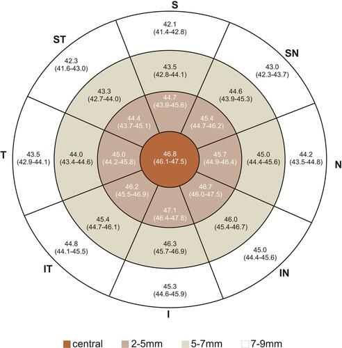 Figure 2 Representative corneal epithelial thickness map. Numbers represent mean (95% CI for mean).