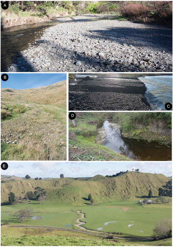 Figure 2. (A) Wandering channel morphology within the lower reach of the Pourewa Stream (NZGD2000 -40.046606 S, 175.456338 E). (B) Influx of Late Quaternary gravels from uplifted Rangitikei terraces capping hills within the central Pourewa catchment 2 km east of Hunterville (NZGD2000 -39.944884 S, 175.581436 E). (C) Confluence between Pourewa Stream and the Rangitikei River displaying a gravel fan, note this fluvial interface undergoes rapid change (NZGD2000 -40.079352 S, 175.452476 E). (D) Pourewa Stream cutting overtop of ‘basement’ composed of carbonaceous siltstone containing the estuarine dwelling cockle Austrovenus stutchburyi, Okehu Group (c. 1.58 – 0.99 Ma) (NZGD2000 -39.953241 S, 175.563025 E). (E) Typical meandering bed form of the Pourewa Stream within its upper reach, note photograph taken following moderate rain, which has led to surface water pooling within paleo-channels across Poukiore Valley (NZGD2000 -39.886163 S, 175.609932 E).