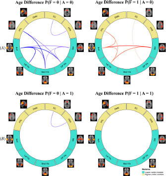 Fig. 6 MMM estimated age difference in probabilities of functional connection states conditional on the structural state. (A): significant age differences (older vs. younger) for no FC (F = 0) and positive FC (F = 1), conditioning on no SC (A = 0). (B): significant age differences for FC, conditioning on the presence of SC (A = 1).