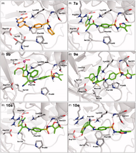 Figure 2. Predicted binding modes of the studied compounds generated by MOE-Dock. (A) Interactions with key residues in the crystal structure of the STZ-DHPP adduct (orange carbons) with BaDHPS (PDB code 3TYE, STZ: sulfathiazole, DHPP: 6-hydroxymethyl-7,8-dihydropterin-pyrophosphate). (B–F) Docking poses for compounds 7a, 9b, 9e, 10a and 10e, respectively (green: ligand's carbon, red: oxygen, blue: nitrogen, yellow: sulfur, white: hydrogen). Protein is shown as light gray cartoons, hydrogen bonds as dotted red lines, and crystal water W286 as magenta sphere. Colors are available in the online version of the paper.