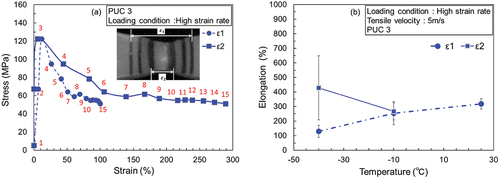 Figure 11. (a) Global and local SS curves of PUC3 at a temperature of −40°C under high-strain-rate conditions. The numbers on the SS curves correspond to the image numbers in Figure 10. (b) Elongation at different measurement points (i.e. maximum ε1 and ε2) versus temperature.