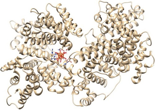 Figure 8 Molecular docking of HSA with water-coated ZVFe NP.Abbreviations: HSA, human serum albumin; ZVFe NPs, zero valent iron nanoparticles.