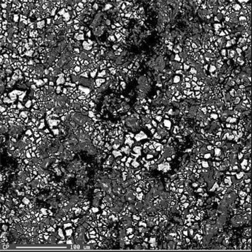 Figure 5. SEM micrograph of the aluminium–zirconia fibres composite.