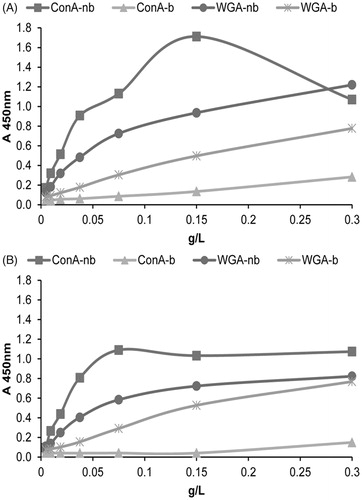 Figure 6. Surface glycosylation of seminal prostasomes from oligozoospermic men separated by lectin-affinity chromatography. LAC-separated fractions of seminal prostasomes from oligozoospermic men: Con A-non-bound (Con A-nb), Con A-bound (Con A-b), WGA-non-bound (WGA-nb), and WGA-bound (WGA-b) fractions were immobilized and re-probed with Con A (A) and WGA (B) by solid-phase binding assay.