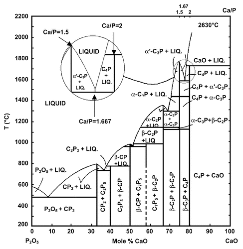 Figure 3. Phase diagram of the system CaO-P2O5 (C = CaO, p = P2O5) at elevated temperatures. Here: C7P5 means 7CaO·5P2O5; other abbreviations should be written out in the same manner. Reprinted from references Citation110 and Citation111 with permission.