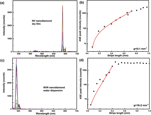 Figure 9. (Colour online) (a) ASE emission spectra from NVN fluorescent nanodiamond film. The excitation wavelength is 532 nm, 300 fs pulses with energy of 70 nJ per pulse and the ASE light is collected from 100.000 pulses at a repetition rate of 100 kHz. Different colour spectrum corresponds to different stripe lengths. (b) Optical gain parameter extraction from the exponential ASE peak intensity as a function of stripe length. The solid line corresponds to the small signal gain model fit in the log-lin scale and thus presents an exponential increase with increasing length. The scattered data points are ASE peak intensity measured at wavelength of 670 nm. Extracted optical gain parameter is 5 ± 1 mm−1. (c) ASE emission spectra from Green FND (NVN centres) fluorescent nanodiamond dispersion. The excitation wavelength is 488 nm, 300 fs pulses with the energy of 30 nJ per pulse, and the ASE light is collected from 100.000 pulses at a repetition rate of 100 kHz. Different colour spectrum corresponds to different stripe lengths. (d) Optical gain parameter extraction from the exponential ASE peak intensity as a function of stripe length. The solid line corresponds to the small signal gain model fit in the log-lin scale and thus presents an exponential increase with increasing length. The scattered data points are ASE peak intensity measured at a wavelength of 513 nm. Extracted optical gain parameter is 16 ± 2 mm-1. L0 is set as 0.01 mm.
