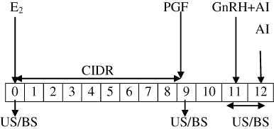 Figure 1. Schematic diagram of estradiol-based protocol, Group I (n = 15).E2 – estadiol-17β; GnRH – gonadotropin releasing hormone; CIDR – controlled internal drug release; PGF – prostaglandin F2α; US – ultrasonogrphy; BS – blood sample; AI – artificial insemination.