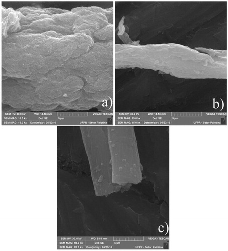 Figure 4. Images by SEM for the f-MWCNTs (a) functionalized f-MWCNTs (NF), (b) functionalized f-MWCNTs with subsequent thermal treatment for 5 h at 550 °C (NQ) and (c) functionalized f-MWCNTs, electrospun and with subsequent thermal treatment for 5 h at 550 °C (NE).