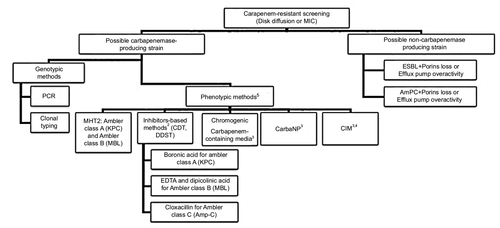 Figure 1 Screening methods for carbapenem-resistant microorganisms.