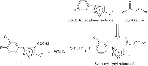 Figure 1.  Design and synthesis of title compounds.