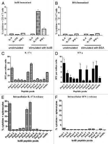 Figure 4. ICS and ELISpot evaluation of IsdB immune splenocytes for cytokine secretion. Splenocytes were isolated from IsdB (A) or BSA (B) immune CB-17 mice and stimulated for 20 h in vitro with IsdB or BSA, or left unstimulated. IL17A, IFNγ and IL4 secreting CD4 T cells were identified by flow cytometry as described in the Methods section. Overlapping 15 mer peptide pools from IsdB were used to stimulate splenocytes from IsdB immune CB-17 mice. Splenocytes were subsequently analysis by ELISpot for the production of IL17A (C) or IFNγ (D) release. ICS was used to confirm ELISpot results by evaluating which IsdB peptide pools stimulated intracellular secretion of either IL17A (E) or IFNγ (F).