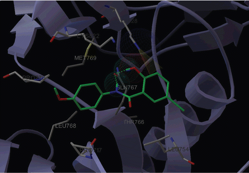 Figure 2.  Binding mode of compound 28 with EGFR kinase. For clarity only the interacting residues were displayed. Ligand (green) and interacting key residues (white) were represented as stick models, while the proteins (white) were represented as ribbons. The H-bond was displayed as spherical surface, and the cation-π interaction was displayed as coniform surface.