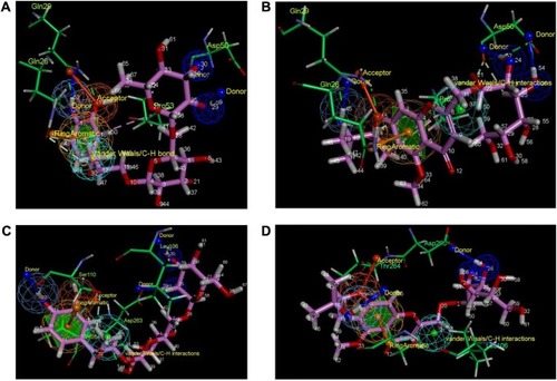 Figure 7 Pharmacophore mapping of the docked complexes.