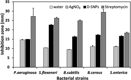 Figure 12 Antibacterial activity of D-SNPs.Notes: Antibacterial activity of D-SNPs, streptomycin, AgNO3, and distilled H2O against Pseudomonas aeruginosa, Shigella flexneri, Bacillus subtilis, Bacillus cereus, and Salmonella enterica. The data are expressed as the mean ± SEM.Abbreviation: D-SNPs, silver nanoparticles synthesized using Desertifilum sp.