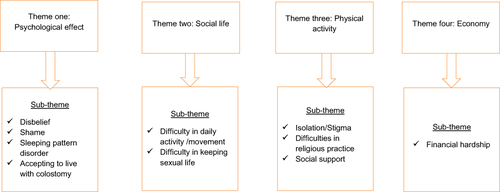 Figure 2 Main themes for lived experience of individuals with colostomy.