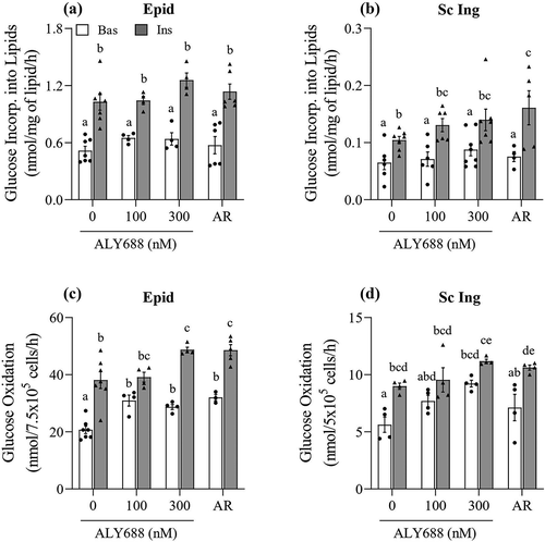 Figure 5. ALY688 (100 and 300 nM) did not affect glucose incorporation into lipids (a and b), but it enhanced in a dose-dependent and tissue-specific manner basal (Bas) and insulin (Ins)-stimulated rates of glucose oxidation in Epid (c) and Sc Ing (d) adipocytes. Different letters denote statistical significance (p < 0.05). Two-way ANOVA, n = 3–7