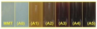 Figure 2 Photograph of montmorillonite/chitosan bionanocomposite suspension (A0) and silver/montmorillonite/chitosan bionanocomposite suspension at different AgNO3 concentrations; (A1) 0.5%, (A2) 1.0%, (A3) 1.5%, (A4) 2.0%, and (A5) 5.0%.