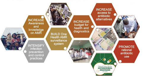 Figure 1. Building blocks to help tackle AMR in Nigeria.
