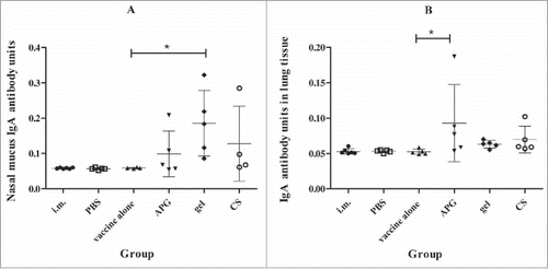 Figure 4. IgA level after immunization with H1N1 influenza vaccine (A, Nasal lavage fluid; B, lung lavage fluid)(n = 5). IgA level was determined by ELISA method. Each dot represents one individual and bars show the median.*Indicates p< 0.01, compared with the group immunized with vaccine alone. All mice received one primer on day 0 and one booster vaccination on day 14 i.m.( positive control) or i.n. in different formulations and PBS without influenza antigen was administered i.n. as negative control.