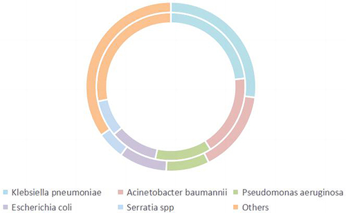 Figure 3 Bacterial species in patients with FUCC (Out ring: FUCC, inner ring: Without FUCC).