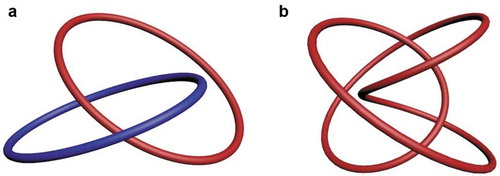 Figure 3. Examples of optical vortex (a) link and (b) knot