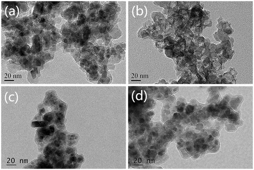 Figure 1. TEM images of (a) acid-resistant magnetic Fe3O4 nanoparticles; (b) shell of the sorbent; (c) sample a; (d) sample b.