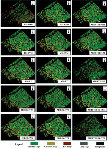 Figure 8. The classification results of different algorithms using different datasets.